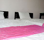 cosy house homestay hoi an